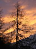 Klik za večjo sliko